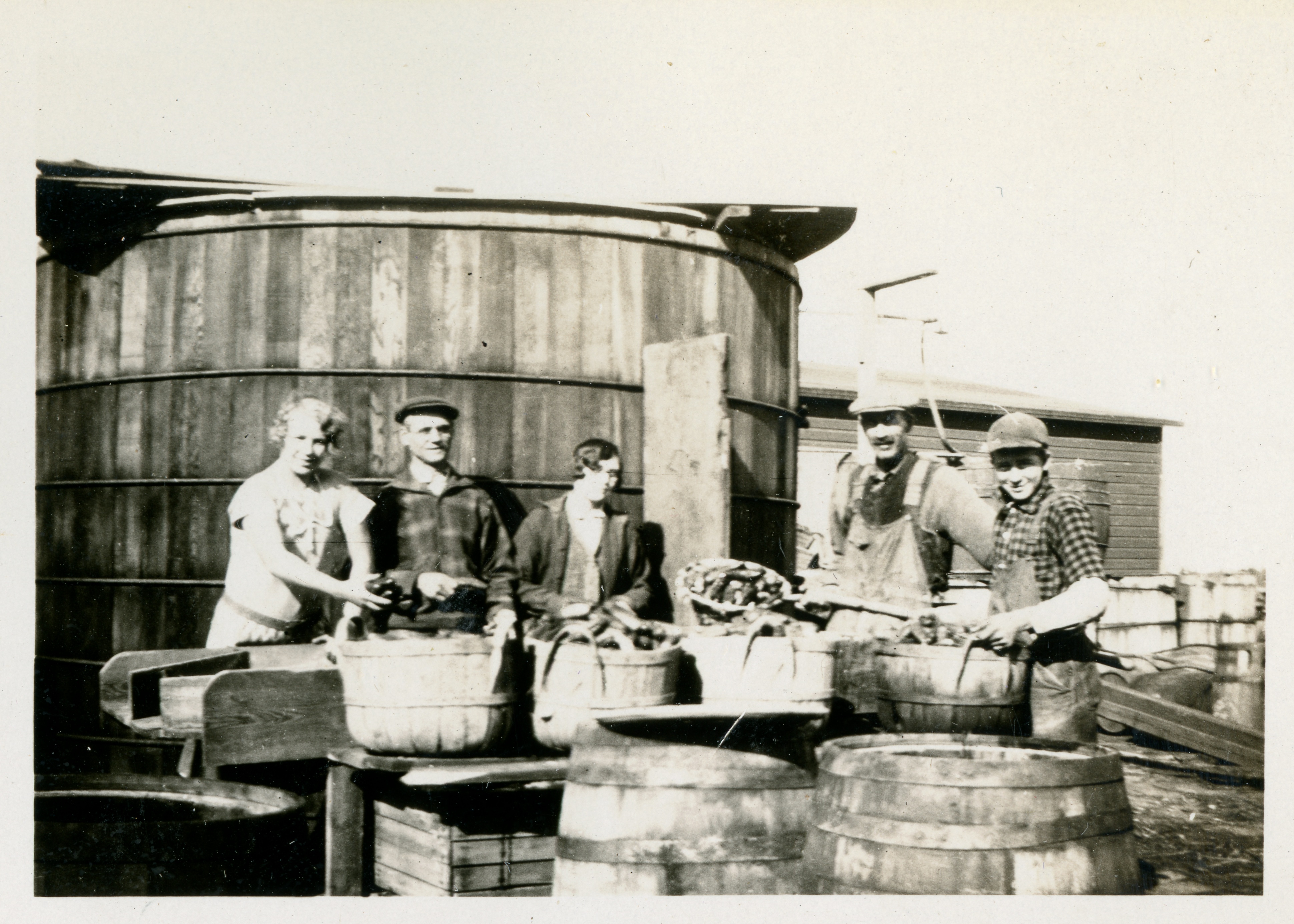 The Pickle Factory, part 1